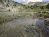 lac_grenouille_20110613_383